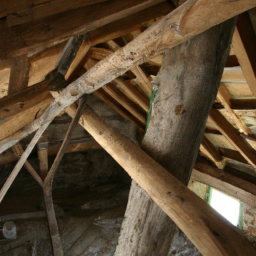 La charpente bois : techniques et savoir-faire du charpentier à Figeac